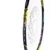 Ракетка бадм. TORRES Carbon PRO6, BD20521,для продв., стерж/обод из карбона,со струнами, фиол за 4&nbsp;477.80 ₽ купить в Тюмени