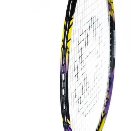 Ракетка бадм. TORRES Carbon PRO6, BD20521,для продв., стерж/обод из карбона,со струнами, фиол за 4&nbsp;477.80 ₽ купить в Тюмени