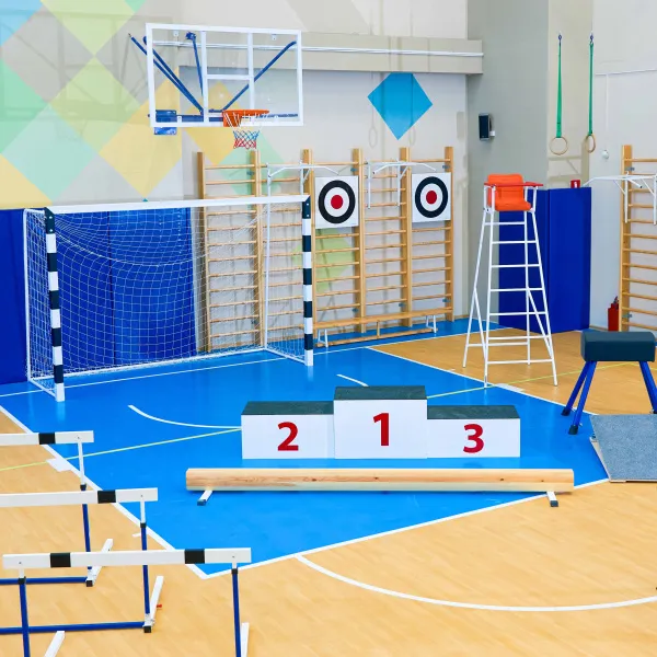 Щит для метания навесной на шведскую стенку (фанера) 700х700 ZAVODSPORTA за 8&nbsp;960 ₽ в Тюмени